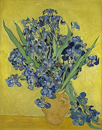 Van Gogh, Irises 1890